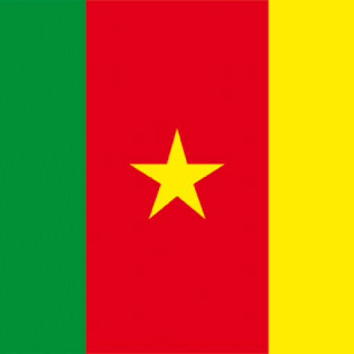 Cameroun ACTU Online