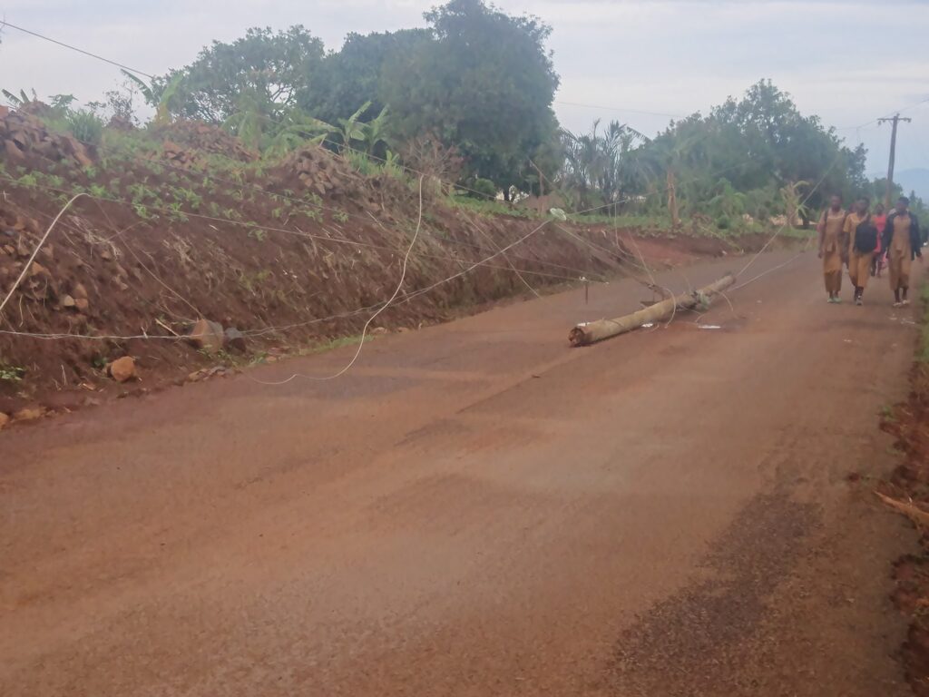 electric poles along the Bamendousso - Bamelo street brought down due to strong winds and rains