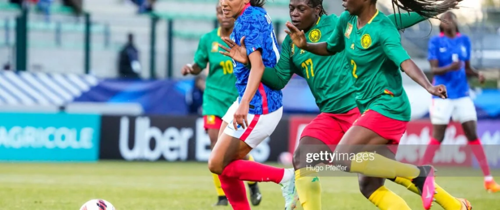 Amical-France vs Cameroun