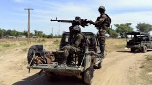 attacks in far north cameroon